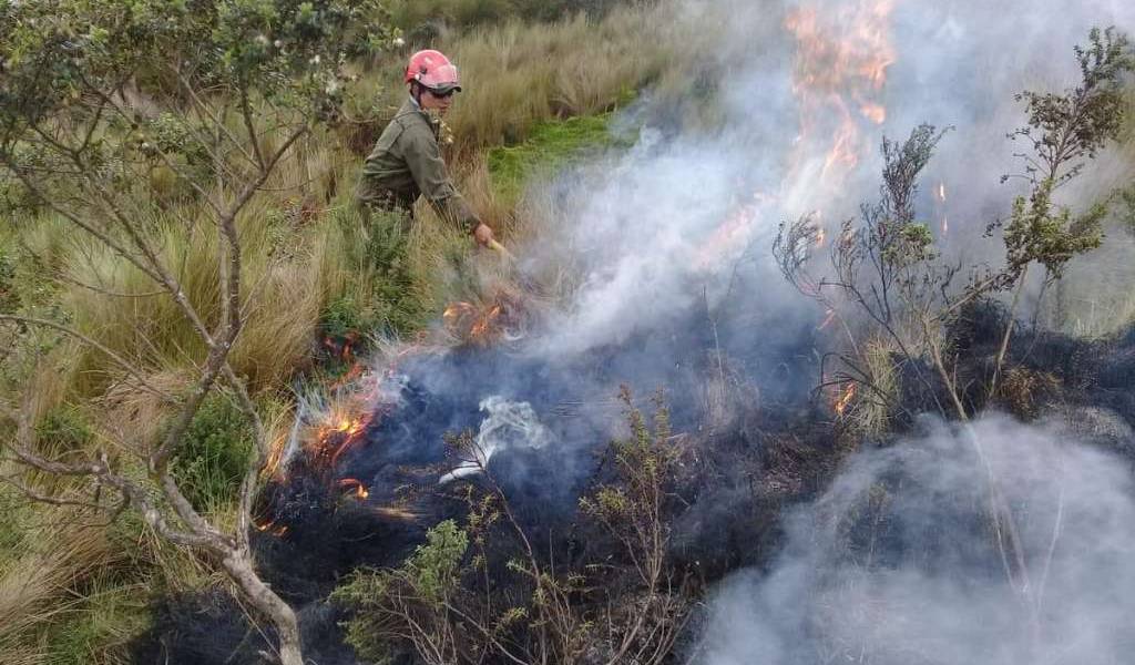 Al menos 10 hectáreas calcinadas en incendio en Cotopaxi