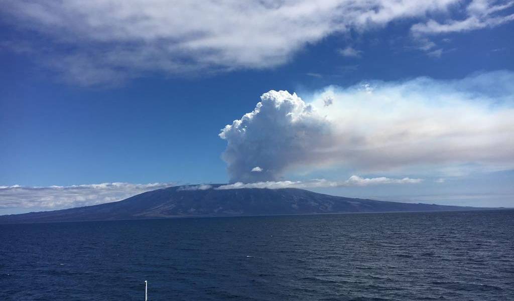Volcán La Cumbre, en isla Fernandina, despierta después de 10 años de inactividad