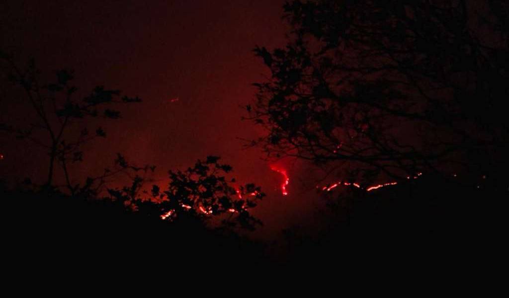 Emergencia en Quilanga por incendio forestal