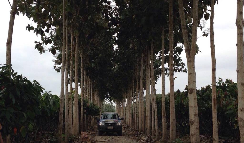 Ecuador Sobre Ruedas: Conozca al &#039;Señor del Gran Cacao&#039;