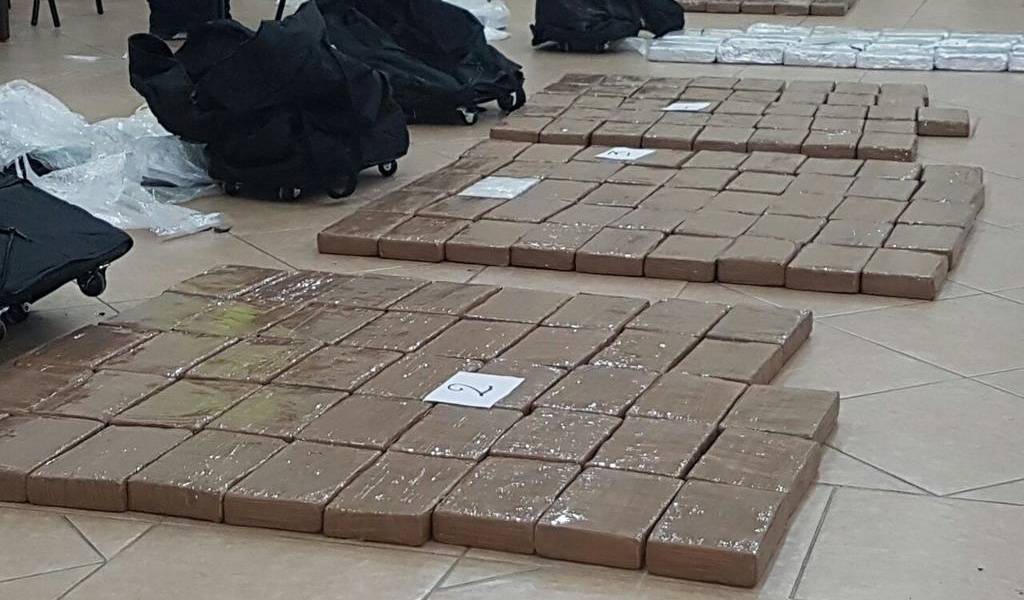 6 detenidos y 517 kilos de droga fueron decomisados en Puerto Marítimo de Guayaquil