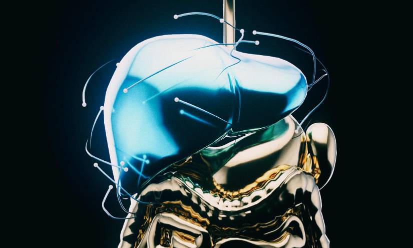 El hígado tiene un papel importante en el proceso digestivo.