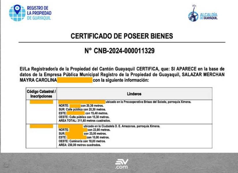 Información del Registro de la Propiedad de Guayaquil sobre las propiedades de Mayra Salazar.