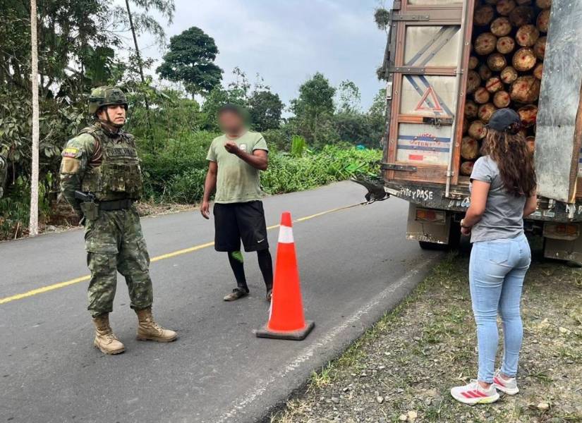 La madera decomida por los soldados de la Brigada de Caballería Blindada del Ejército.