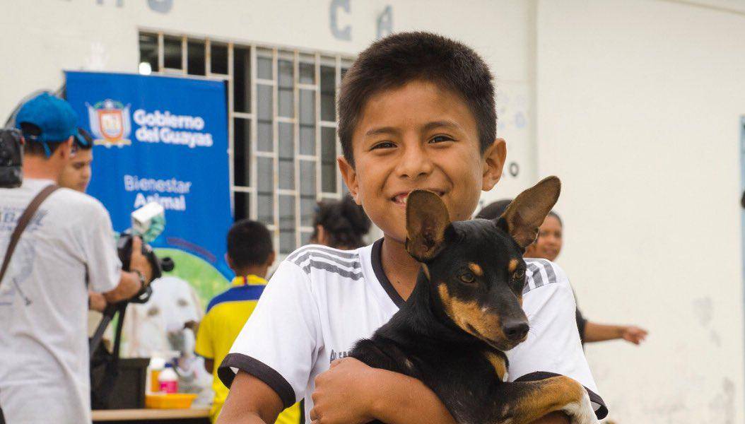 Resultados Censo Ecuador: 4.1 millones de mascotas están en los hogares del país