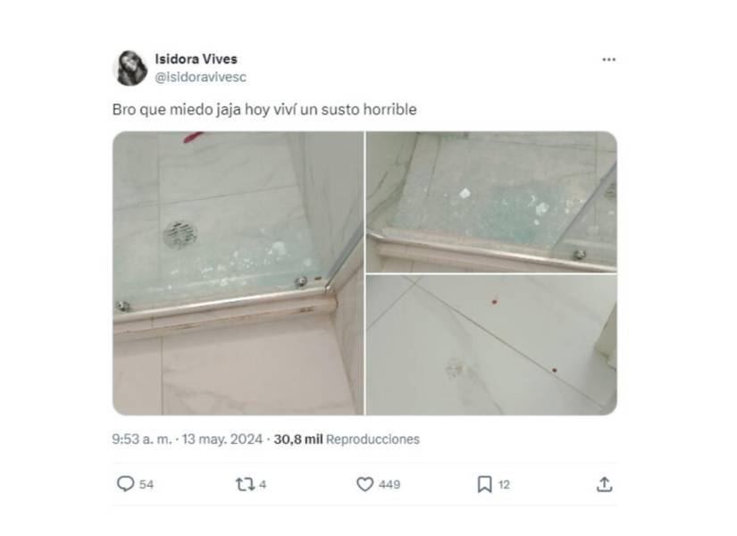 Captura de pantalla de lo publicado por Isidora Vives