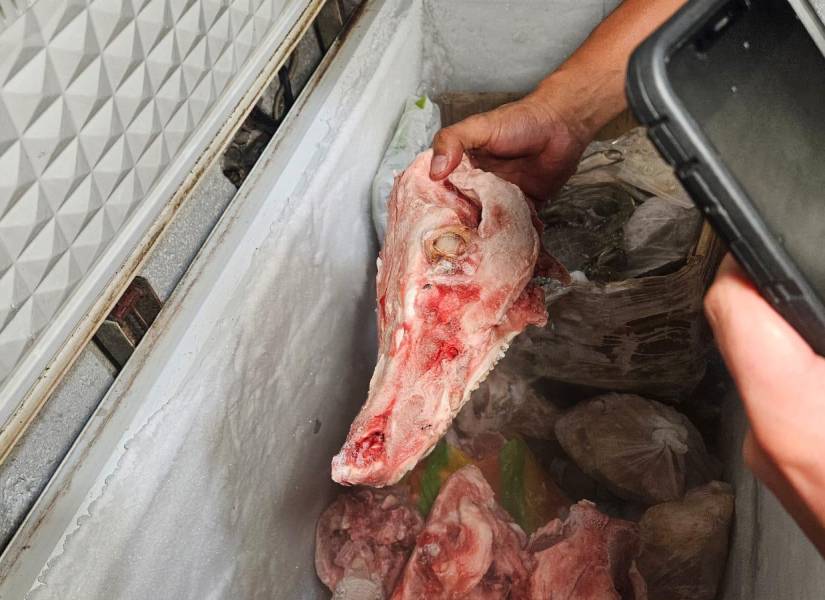Imagen de un cráneo de un animal no identificado en un restaurante del centro de Guayaquil.