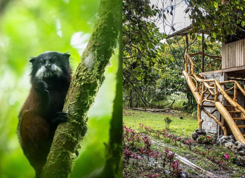 Increíble diversidad de flora y fauna en la Finca La Argentina.