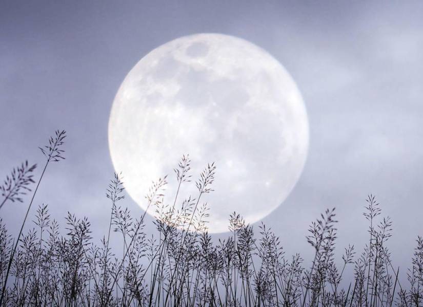 Imagen referencial de una Luna de Nieve.