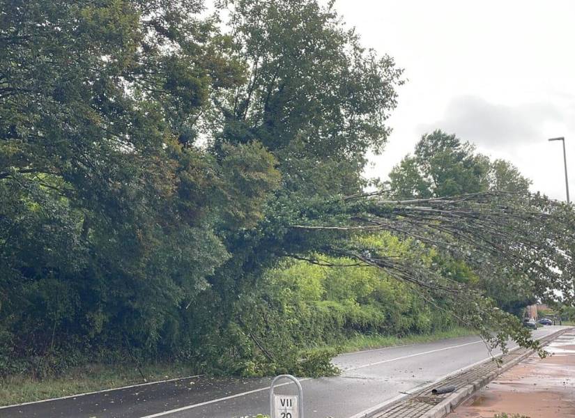 La situación en via 28 aprile en Saonara.