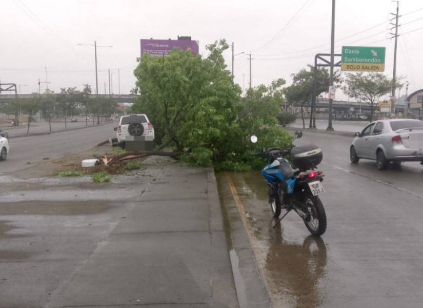 Guayaquil: Aquiles Álvarez pide el retorno de los radares tras una decena de accidentes de tránsito