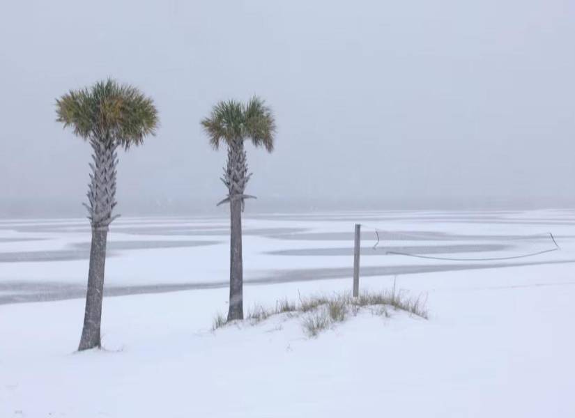 Caída de nieve en el estado de la Florida, en Estados Unidos.