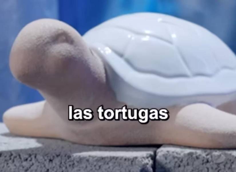 La tortuga de porcelana que participa por Ecuador en el Mundial de Objetos.