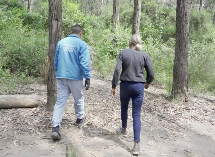 Maidivi en el bosque de La Legarda.