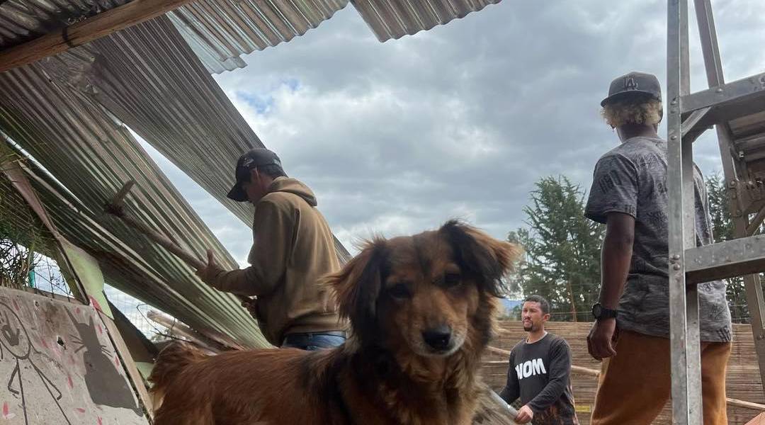 Un torbellino destruyó techos y otras instalaciones de una fundación de rescate animal