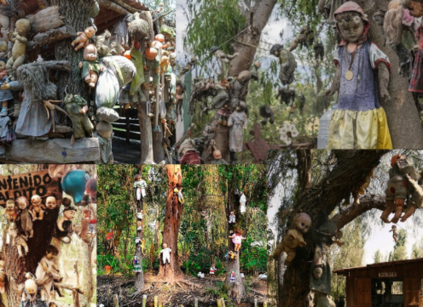 Se estima que hay más de 2 500 muñecas en toda la isla.