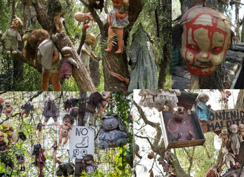 Imagen de la isla de las muñecas.