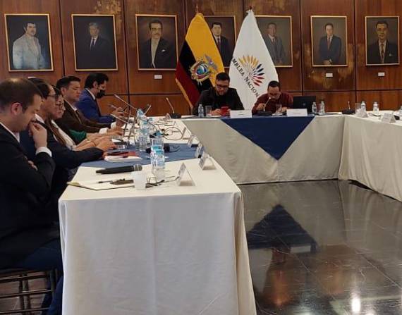 El secretario jurídico de la Presidencia, Fabián Pozo, se reunió con asambleístas.