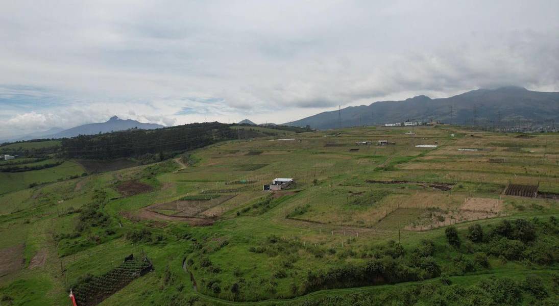 Grupos indígenas ganaron millonarias subastas de terrenos al sur de Quito