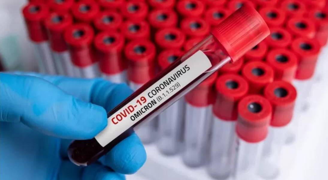 COVID-19: Cuando las personas no tienen inmunidad son fábricas de variantes