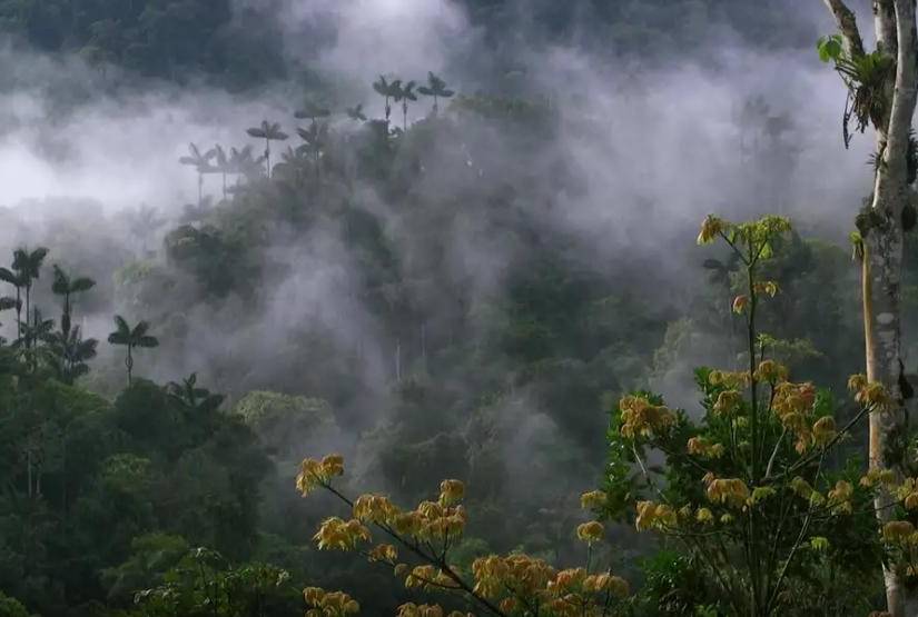 La nueva Reserva de Biósfera de Ecuador, Chocó Andino de Pichincha, declarada por a UNESCO el 25 de julio de 2018, fue presentada oficialmente como la séptima reserva del país.