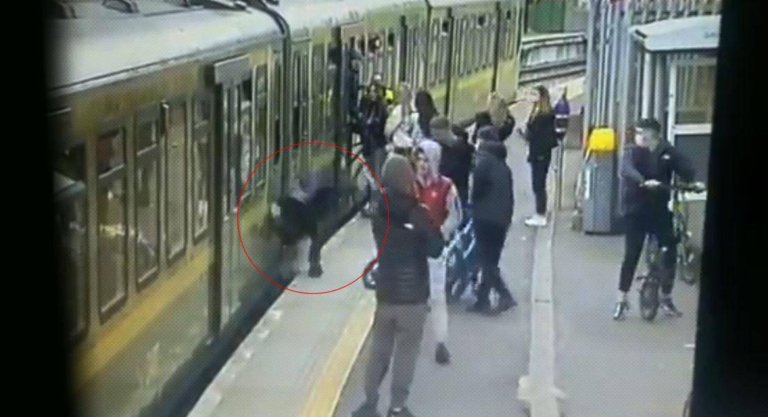 Jóvenes acosan a varias chicas en una estación de tren y hacen caer a una de ellas a las vías