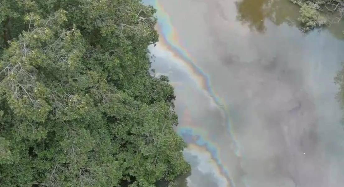 Ministerio de Ambiente denunció ante Fiscalía la contaminación del Estero Salado, que se extiende por dos kilómetros