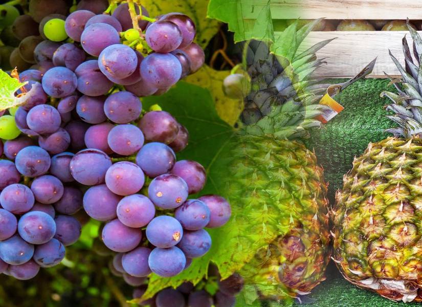 Las uvas y las piñas atraerán buenos augurios a tu mesa.