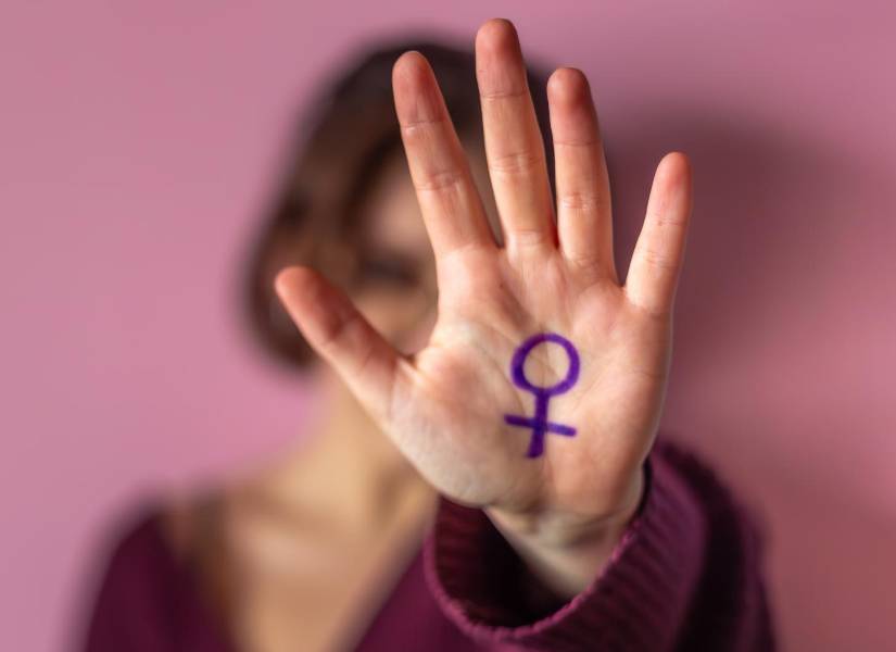 El dia de la eliminación de la violencia contra la mujer, se estableció en honor a la lucha de las hermanas Mirabal.