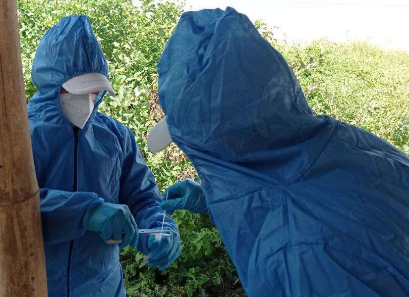 Especialistas toman las muestras de las aves.