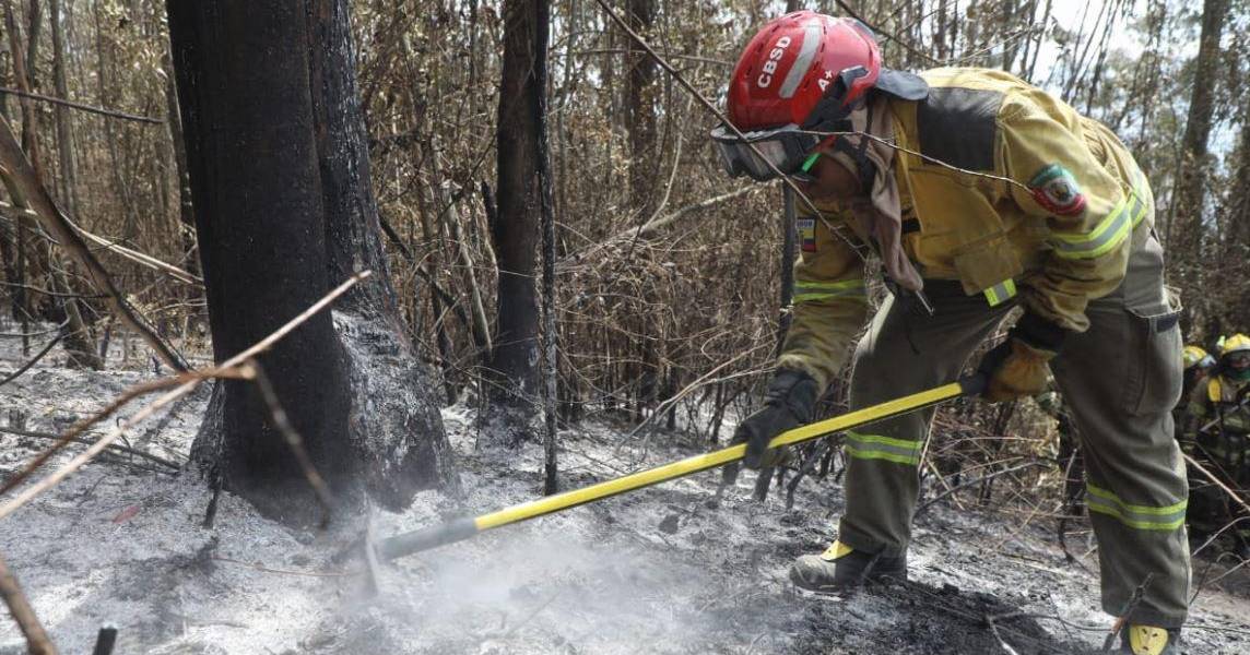 Quito | Los incendios en Guápulo y el cerro Auqui se liquidaron por completo