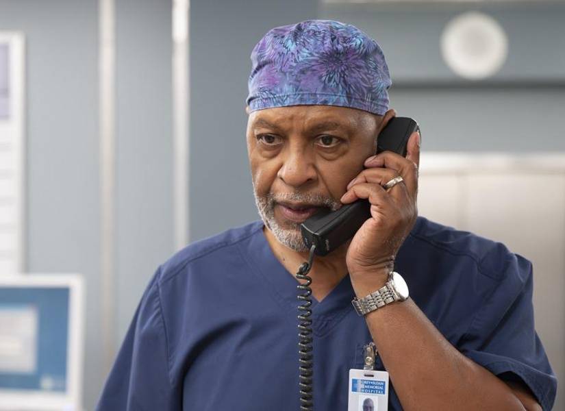 James Pickens Jr. como Richard Webber.