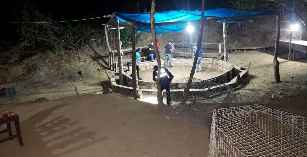 5 hombres fueron asesinados en las afueras de Bahía de Caráquez