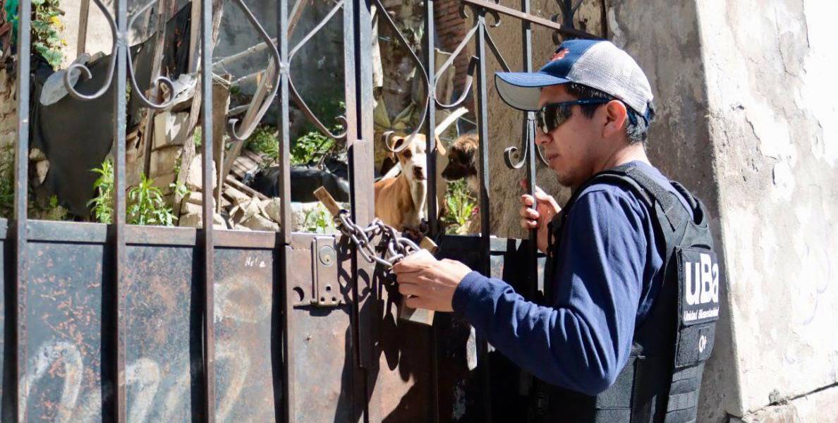 Tres perros fueron rescatados de una vivienda abandonada en el sur de Quito