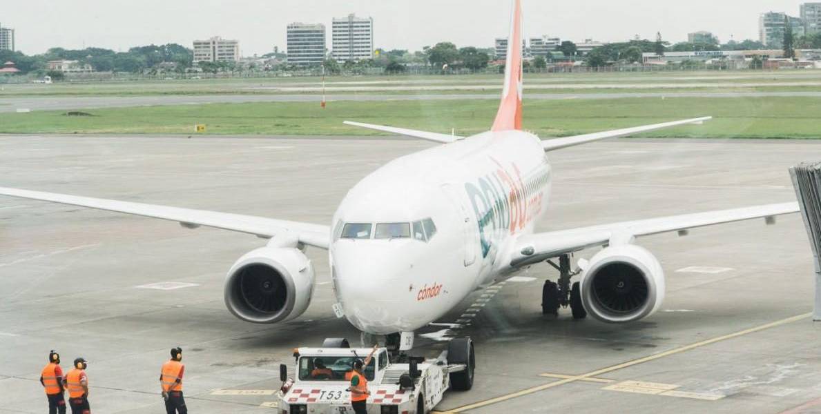 Alertan peligro por frecuentes impactos de aves con aviones en el aeropuerto de Guayaquil