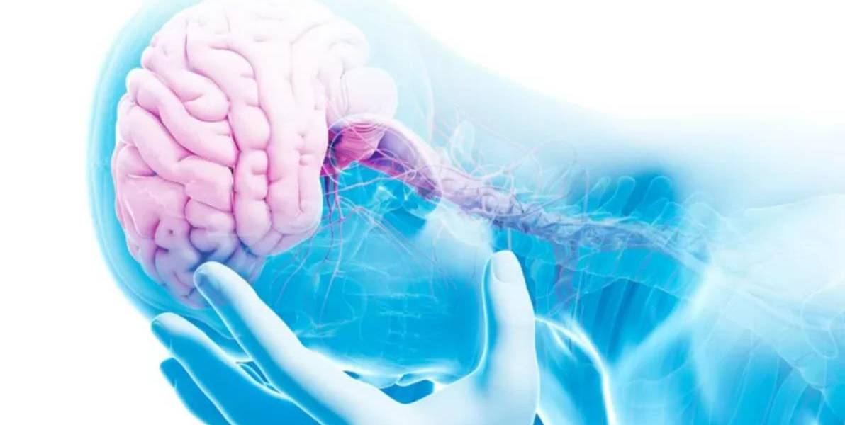 Lo que las experiencias traumáticas le hacen al cerebro y al cuerpo