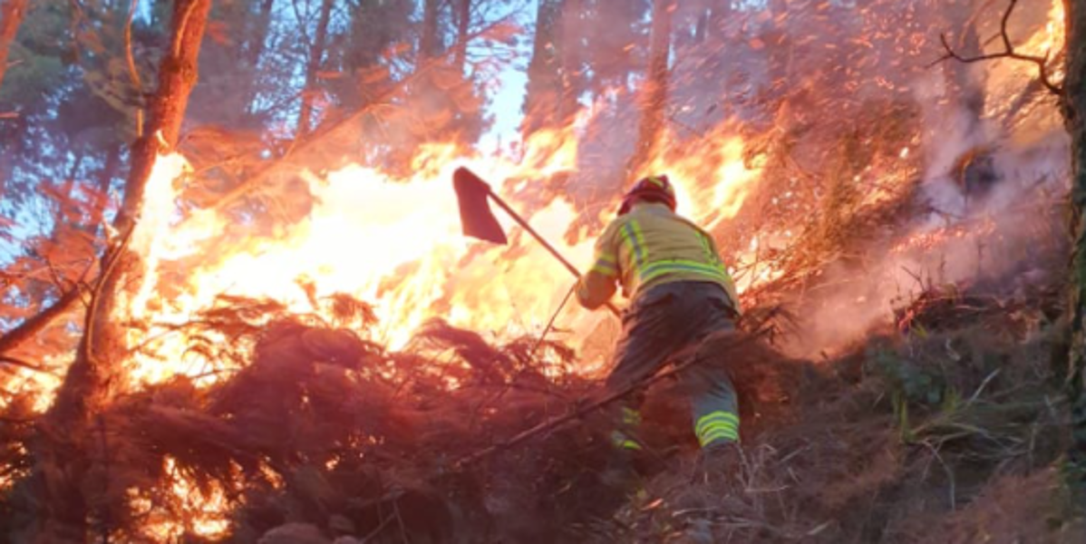 Loja: en 4 días se han consumido más de 194 hectáreas de vegetación en incendios