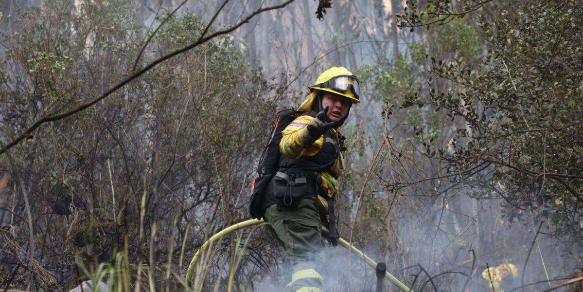 Bomberos luchan por controlar incendio forestal en la zona de protección San Juan