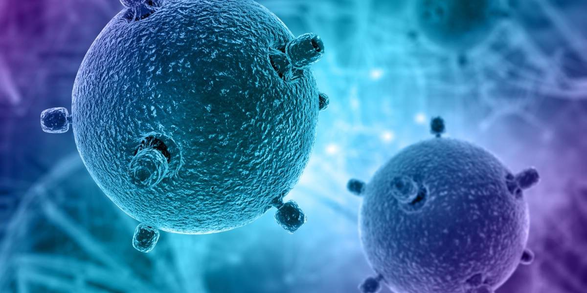 OMS actualiza la lista de bacterias más peligrosas para la salud