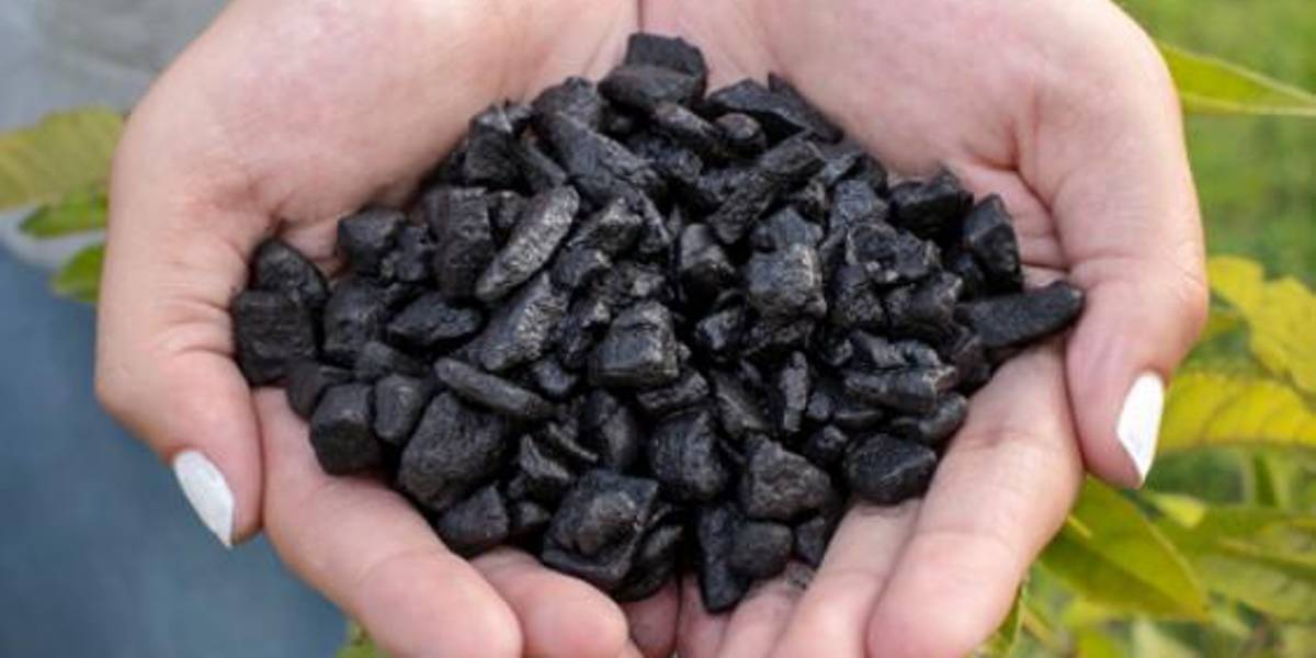 Empresa ecuatoriana gana premio internacional por eficiencia en desarrollo ambiental sostenible