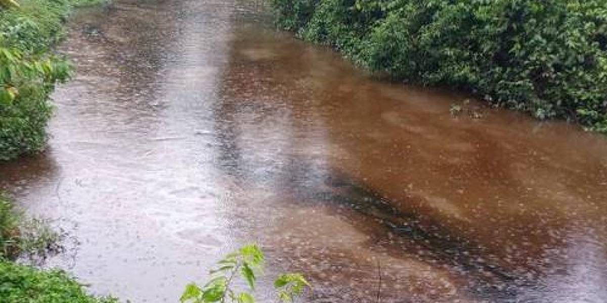 Derrame de petróleo contamina río en Sucumbíos; Ambiente dice que hay avance de 94% en limpieza