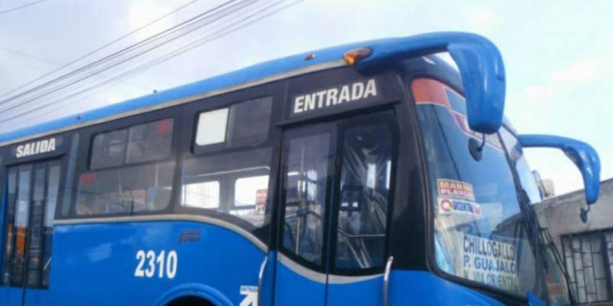 Video: unos pasajeros de un bus golpearon a dos hombres que supuestamente robaban, en Quito