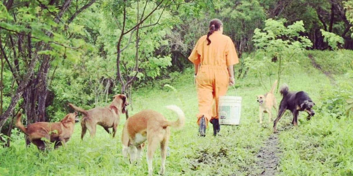129 hectáreas de naturaleza fueron declaradas Bosque y Vegetación Protectores en Manabí