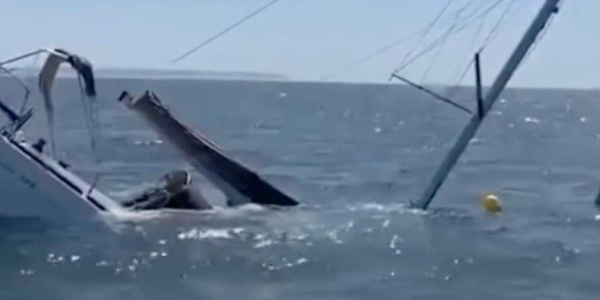 Orcas hunden un yate frente a Caparica, en las costas de Lisboa
