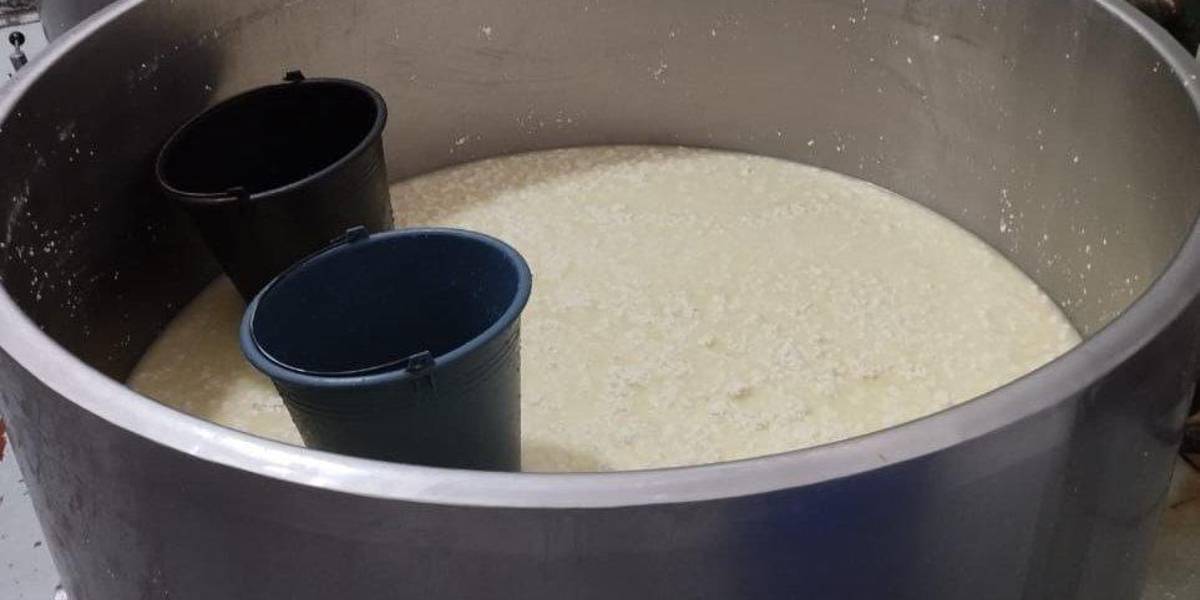 Arcsa clausura una planta de lácteos por la presencia de bacterias en sus quesos