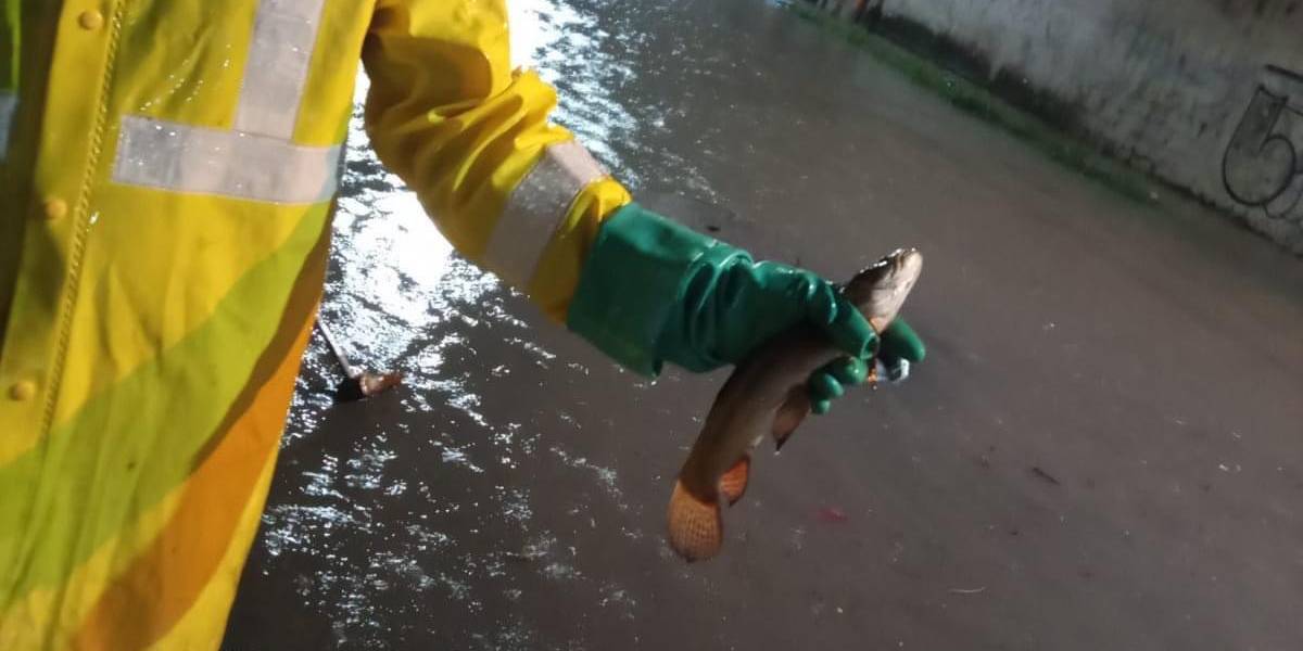 6 imágenes sorprendentes del torrencial aguacero que soportó Guayaquil este miércoles