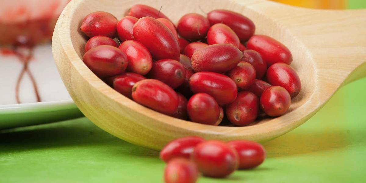 La fruta milagrosa que convierte sabores ácidos en dulces