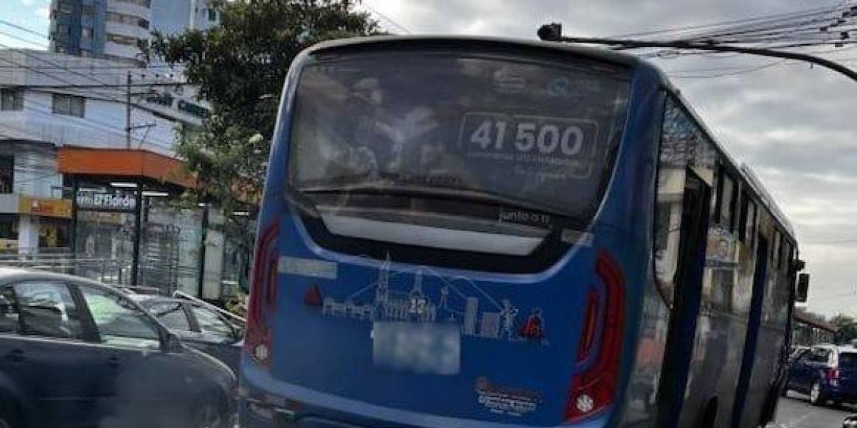 Quito: una organización denuncia que un niño con discapacidad se quedó atrapado en la puerta trasera de un bus por imprudencia del conductor