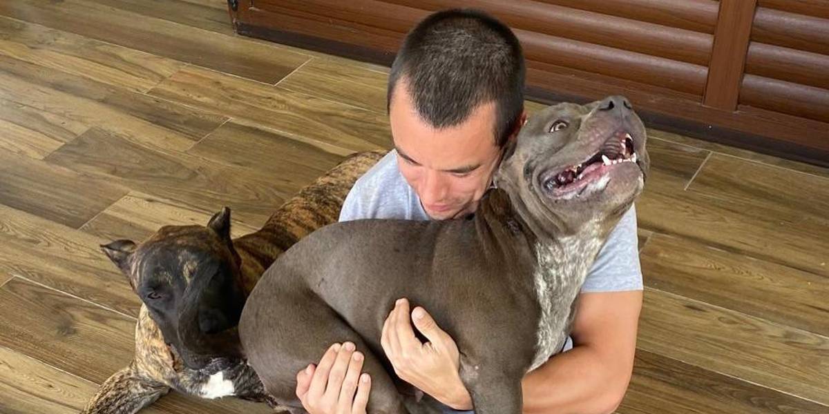 Daniel Noboa anuncia que eliminó el IVA en los alimentos para mascotas