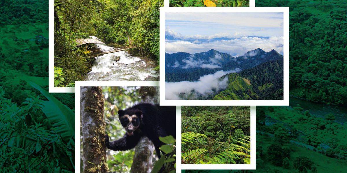 Pichincha, una provincia para disfrutar en el feriado con paisajes, historia y espectáculos únicos